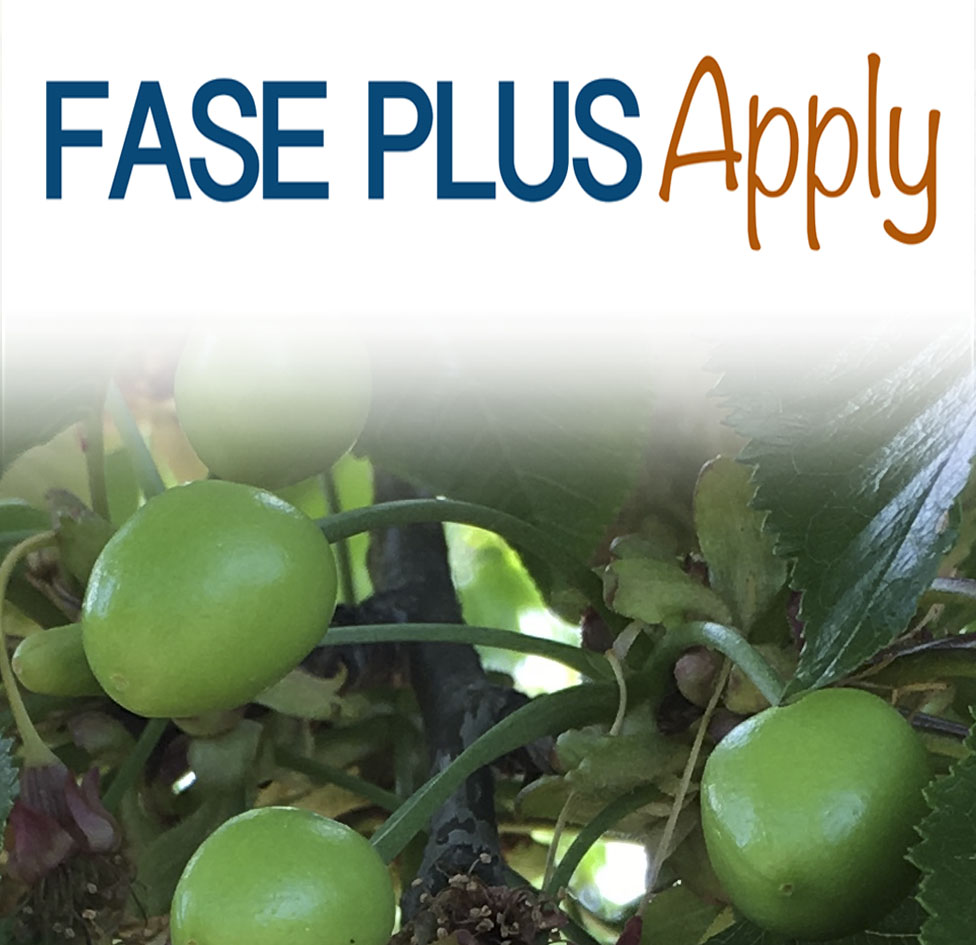 FASE PLUS-Apply COD: N-007